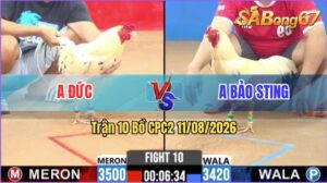 Trận 10 CPC2 11/08/2026 – Anh Bảo Sting Ra Sân 4 Con, Lụm Hết 4