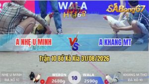 Trận 10 Xà Xía 31/08/2026 – Anh Nhẹ U Minh Và Anh Khang MT