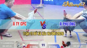 Trận 11 Xà Xía 16/08/2026 – Anh Phương Làm Thịt Anh Ty Nhanh Gọn