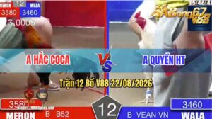 Trận 12 Bồ V88 22/08/2026 – Anh Hắc Coca Đụng Độ Với Anh Quyền HT
