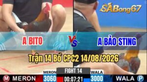 Trận 14 CPC2 Ngày 14/8/2026 Trên SABONG67