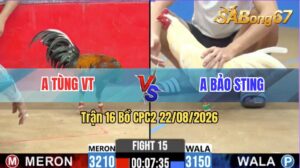 Trận 16 CPC2 22/08/2026 – Anh Bảo Sting Liên Tục Bị Thất Thủ
