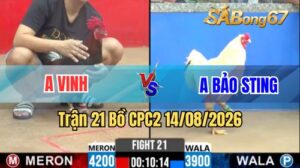 Trận 21 CPC2 Ngày 14/8/2026 Trên SABONG67
