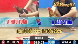 Trận 3 CPC2 Ngày 14/8/2026 Trên SABONG67