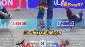 Trận 3 Xà Xía 31/08/2026 – Anh Bon Sài Gòn Và Anh Tuấn Anh SX