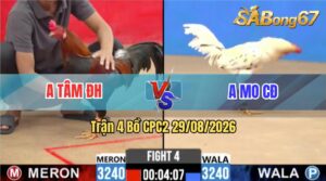 Trận 4 CPC2 29/08/2026 – Anh Tâm Đức Hoà Và Anh Mo CĐ