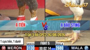 Trận 5 CPC2 26/08/2026 – Idol Bảo Sting Chấp Gần 5 Chấm Vẫn Về Bờ