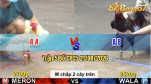 Trận 5 CPC5 21/08/2026 – Gà Xanh Giành Chiến Thắng Vất Vả