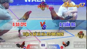Trận 5 Xà Xía 23/08/2026 – Anh So Campuchia Gặp Anh Đỏ Sài Gòn
