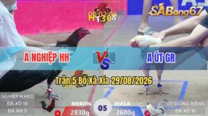 Trận 5 Xà Xía 29/08/2026 – Anh Nghiệp Đối Đầu Với Anh Út Giồng Riềng
