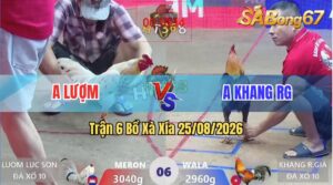 Trận 6 Xà Xía 25/08/2026 – Anh Lượm Đụng Độ Với Anh Khang Rạch Giá