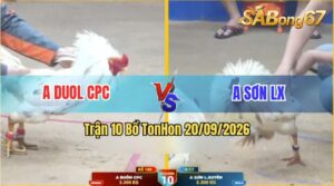 Trận 10 Tonhon 20/09/2026 – Anh Duol Campuchia Gặp Anh Sơn Long Xuyên