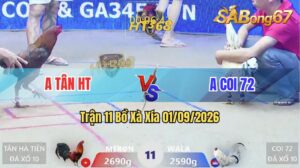 Trận 11 Xà Xía 01/09/2026 – Anh Tân Hà Tiên Đối Đầu Anh Coi 79