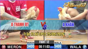 Trận 12 CPC2 25/09/2026 – Anh Tý Long An Và Anh Quậy Vũng Tàu