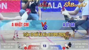 Trận 13 Xà Xía 07/09/2026 – Anh Nhật Cà Mau Và Anh Út Giồng Riềng