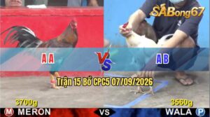 Trận 15 CPC5 07/09/2026 – Gà Xanh Không Cho Gà Đỏ Cơ Hội Nào