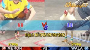 Trận 2 CPC5 09/09/2026 – Gà Xanh Đá Quá Nhanh Quá Nguy Hiểm