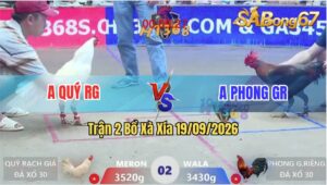 Trận 2 Xà Xía 19/09/2026 – Anh Quý Rạch Giá Gặp Anh Phong Giồng Riền