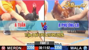 Trận 3 CPC2 21/09/2026 – Anh Tuân Đụng Độ Với Anh Phương Long An