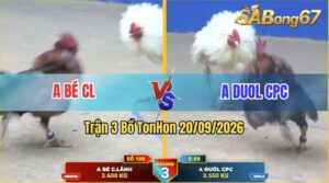 Trận 3 Tonhon 20/09/2026 – Anh Duol CPC Hạ Đẹp Anh Bé CL