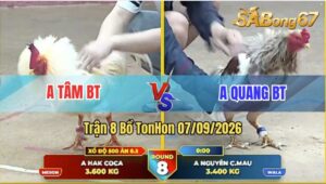 Trận 4 CPC2 30/09/2026 – Anh Tâm Bến Tre Gặp Anh Quang Bến Tre
