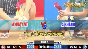 Trận 6 CPC2 22/09/2026 – Anh Quậy Vũng Tàu Đụng Độ Với Anh Khánh