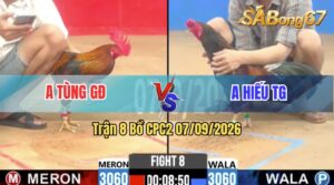 Trận 8 CPC2 07/09/2026 – Anh Tùng Gò Đen Làm Thịt Anh Hiếu TG