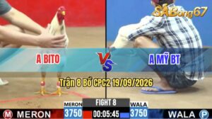 Trận 8 CPC2 19/09/2026 – Anh Bito Đụng Độ Với Anh Mỹ Bến Tre