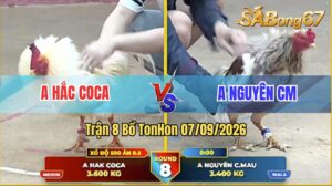 Trận 8 Tonhon 07/09/2026 – Anh Hắc Coca Làm Thịt Anh Nguyên Cái Xổ 500