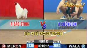 Trận 13 CPC2 03/10/2026 – Idol Bảo Sting Hạ Gọn Anh Cường ĐN