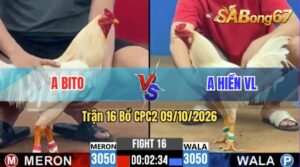 Trận 16 CPC2 09/10/2026 – Anh Bito Đối Đầu Với Anh Hiền Vĩnh Long