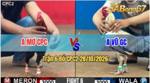 Trận 6 CPC2 29/10/2026 – Anh Mơ CPC Đụng Độ Với Anh Vũ GC