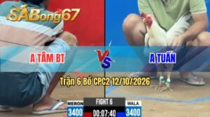 Trận 6 CPC2 Ngày 12/10/2026 trên SABONG67